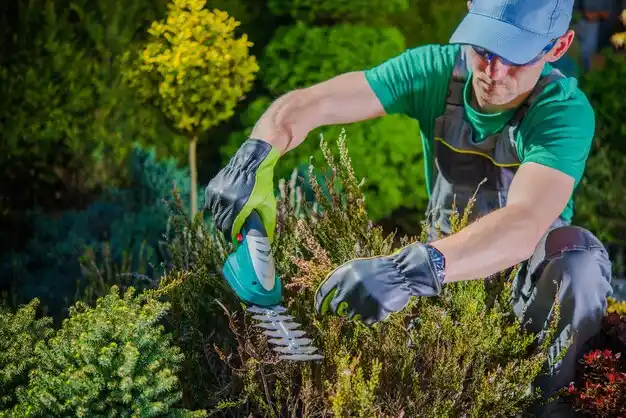 landscaping services Uniondale